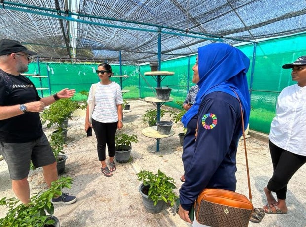 People talking inside of a plant nursery in the Maldives