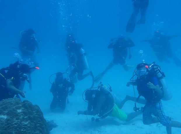 Underwater divers as part of a tour in Palau