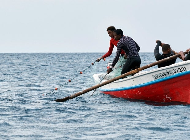 Fishermen with a mesh net use tapping techniques to move schools of fish in Cabo Verde