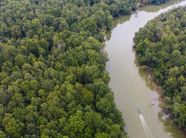 Drone shot of boat going through a river in a dense forest