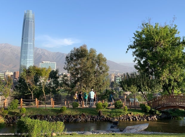 Skyline of Santiago Chile with trees in foreground
