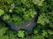 Aerial shot of river in Amazon rainforest jungle in Peru