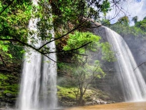 Boti Falls is a 30m high waterfall within the Boti Forest Reserve about 30 minutes east of Koforidua, Ghana. Photo: Felix Lipov/Shutterstock.
