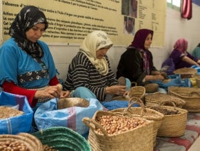 Women with argan fruits in women's cooperative in Morocco. Photo: danm12/Shutterstock.