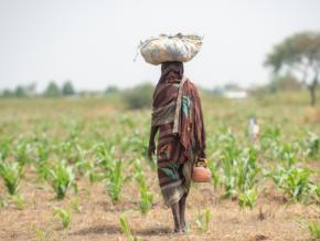 Woman carrying items through the Sahel Desert in Chad