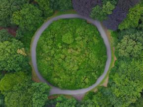 Roundabout in the middle of a forest in Belgium. Circular road surrounded by trees