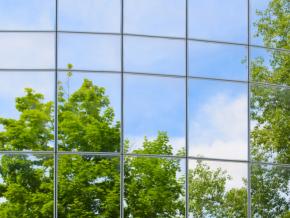 Reflections of nature in an office building