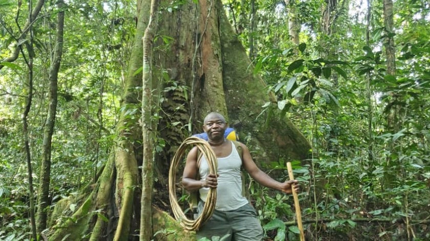 Man standing in a dense forest