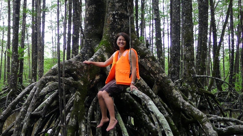 Yoko Watanabe - woman sitting on large mangrove tree in in Palawan, the Philippines