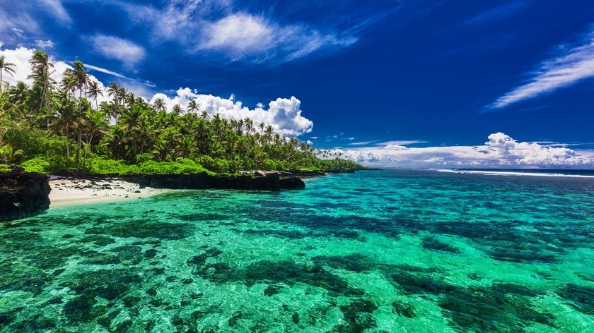Trees, beach, coral reef in Samoa