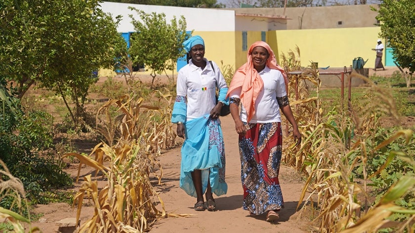 Two smiling Senegalese women walking through a dry corn field