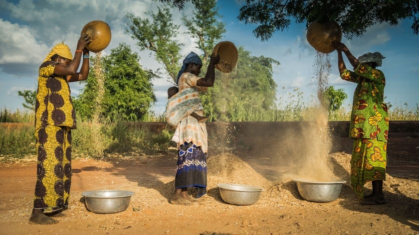 Women in colorful dresses outside pouring grains into bowls on the ground