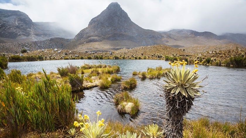 High mountain body of water with plants and mountains