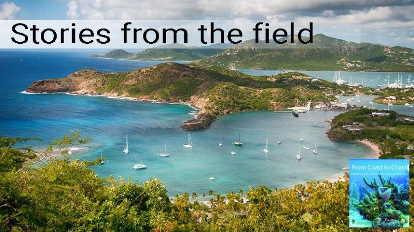 Falmouth Bay, View from Shirley Heights, Antigua