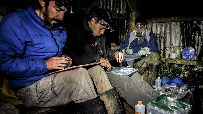 Scientists in the field cataloging the day's findings