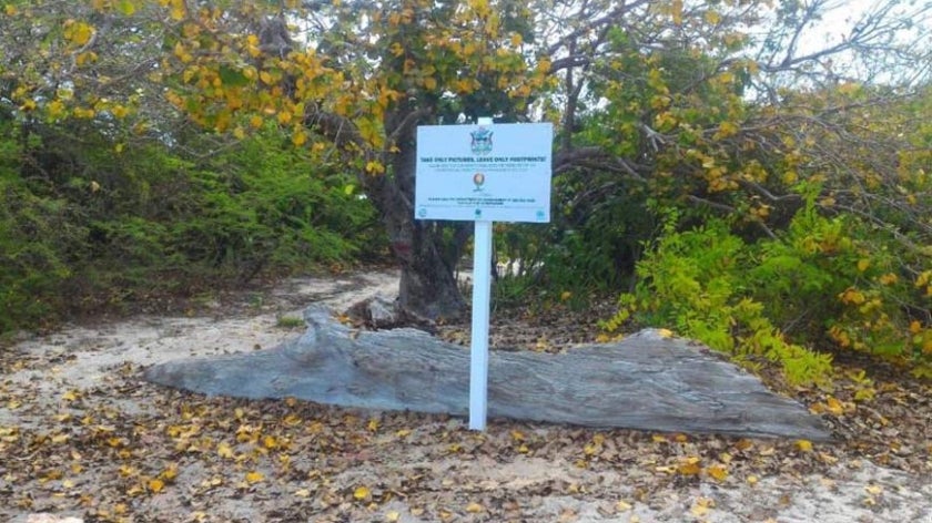 Sign posted in sandy area with trail visible alongside it and large fallen tree trunk behind.