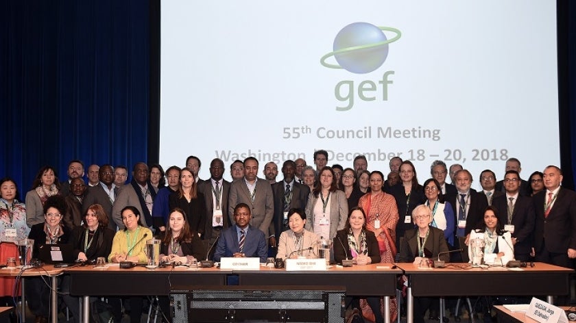 Family photo of GEF Council Members and Alternate Council Members with GEF CEO and Chairperson Naoko Ishii and members of the GEF Secretariat (courtesy of IISD ENB)