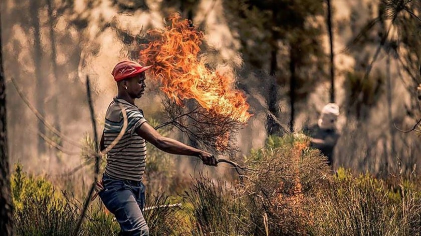 Farm workers assisting with fire break creation | Photo credit: Sullivan Photography