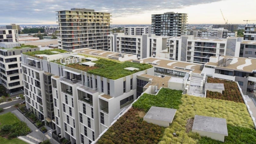 Green rooftops in Australia