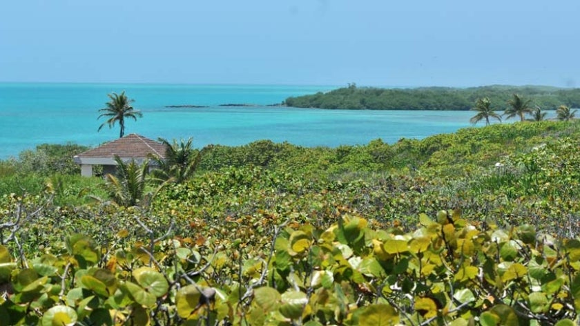 A view of Isla Contoy National Park, Quintana Roo. 