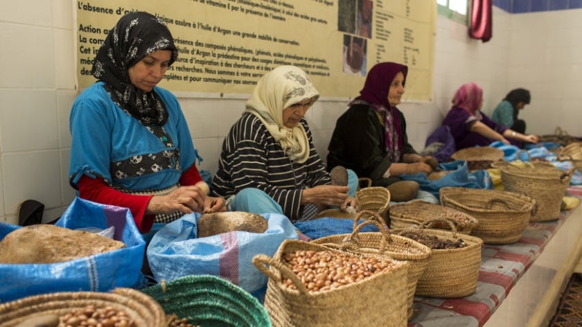 Women with argan fruits in women's cooperative in Morocco. Photo: danm12/Shutterstock.