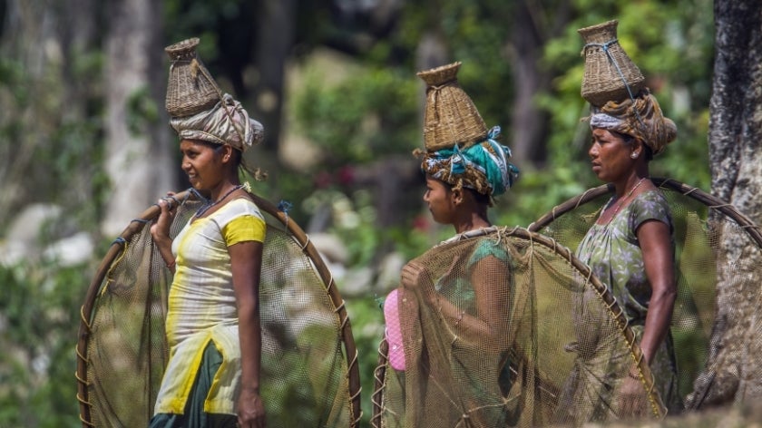 Ethnic Tharu women on their way to go fishing in Bardia, Nepal. Photo: PACO COMO/Shutterstock.