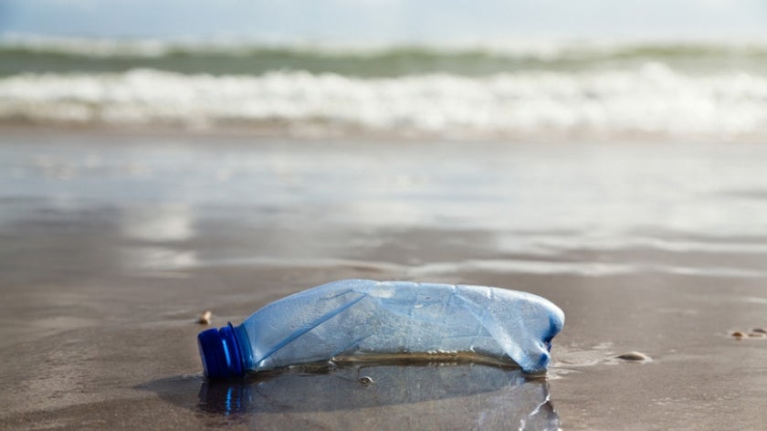 Plastic bottle stuck in sand near ocean.