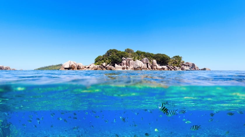 Under and above water photo of small island in Seychelles. Photo: BlueOrange Studio/Shutterstock.