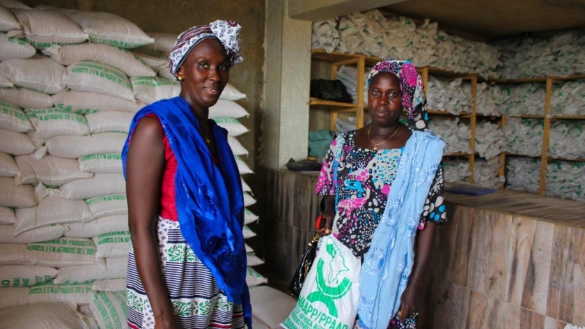 Smallholder female farmers in Senegal, courtesy of the World Bank