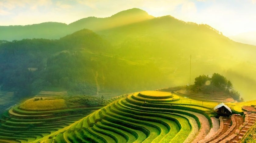 Rice fields on terraces of Mu Cang Chai, YenBai, Vietnam.