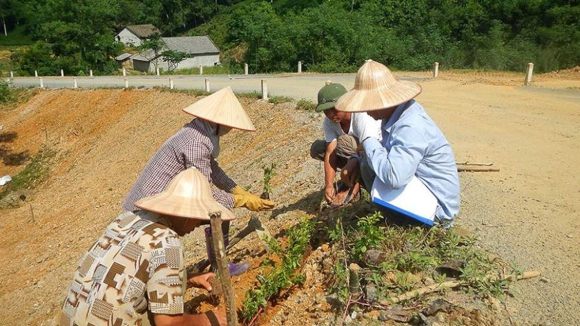 Vietnamese locals working on roadside as part of infrastructure improvement project