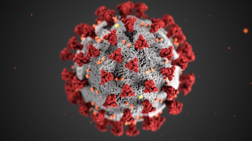 Close-up illustration of novel coronavirus (COVID-19)