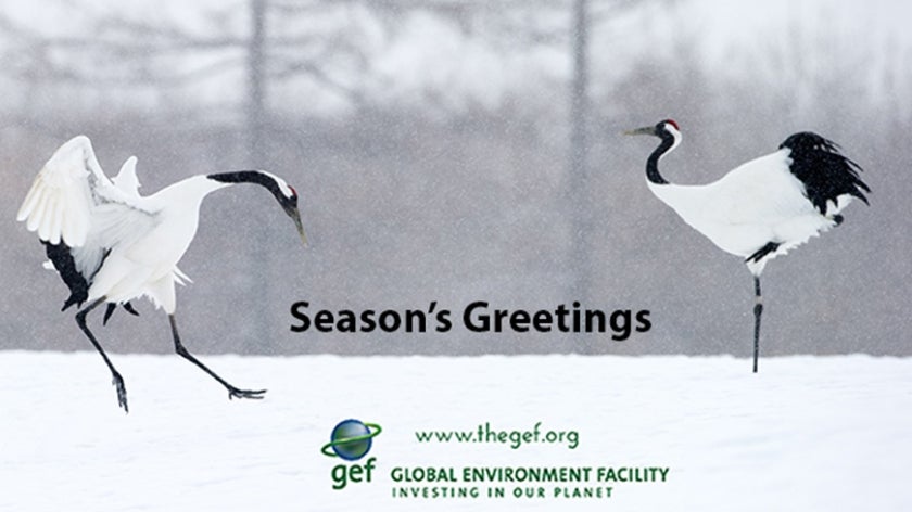 Two cranes on snowy background with \"season's greetings\" text overlaid