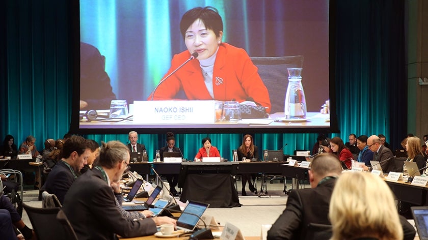 GEF CEO and Chairperson Naoko Ishii addresses the 57th Council
