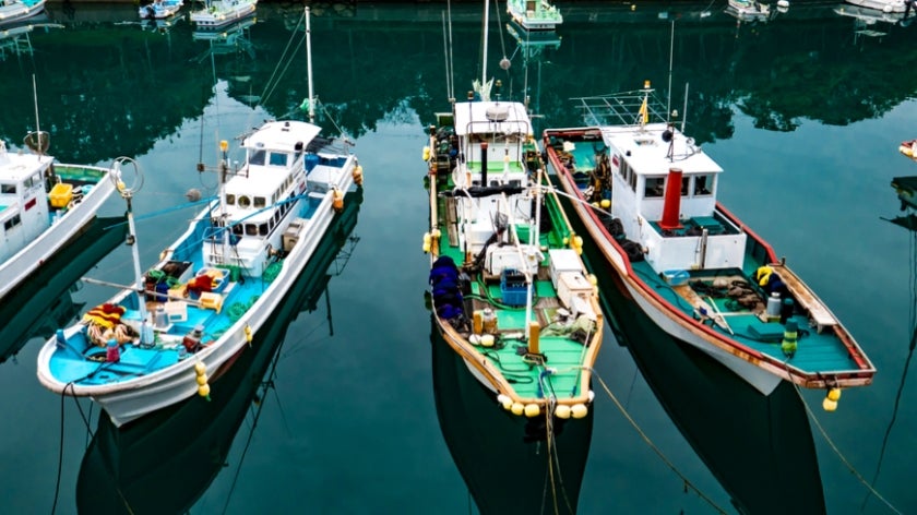 Partnership model: some Japanese fishing communities benefited from responsible resourcing. Photo: Marco Scotto/Shutterstock.