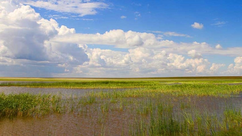 Kazakhstan Wetlands