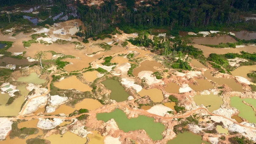 A bird's-eye view of gold mines in Guyana. Photo by Evelyn Swain. 