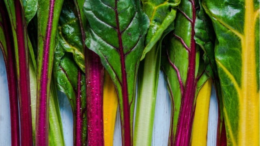 Swiss chard on white background.