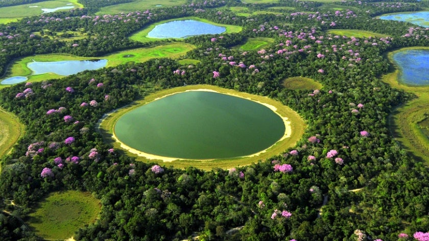 Aerial view of the Pantanal wetlands in Brazil