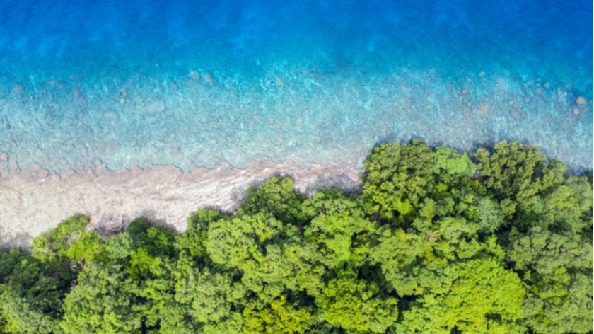 Aerial view of reef and rainforest in Papua New Guinea