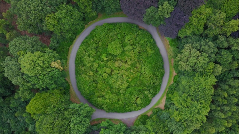 Roundabout in the middle of a forest in Belgium. Circular road surrounded by trees