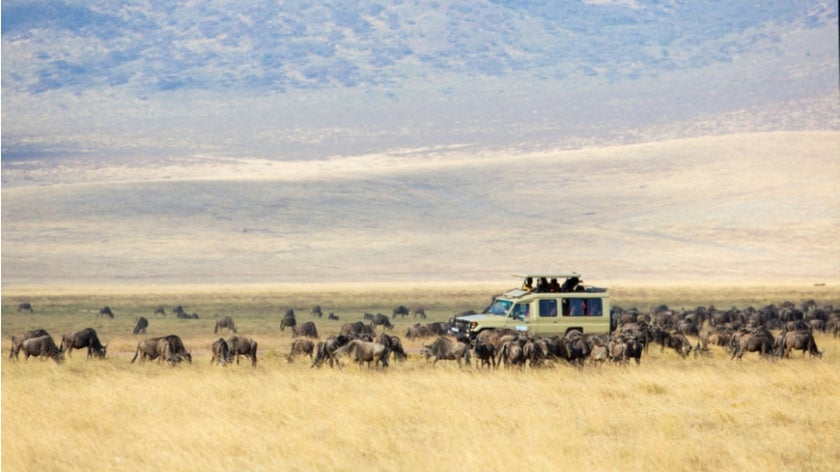 Safari tourists in Ngorongoro, Tanzania