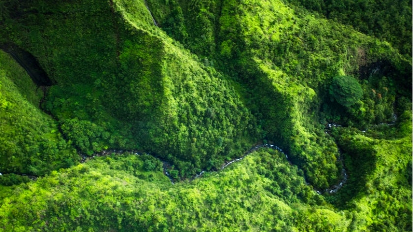 Forest and mountain landscape of Hawaii