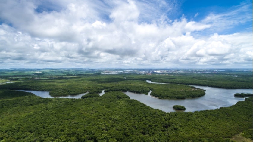 Aerial shot of Amazon rainforest in Brazil, South America. Photo: Gustavo Frazao/Shutterstock.