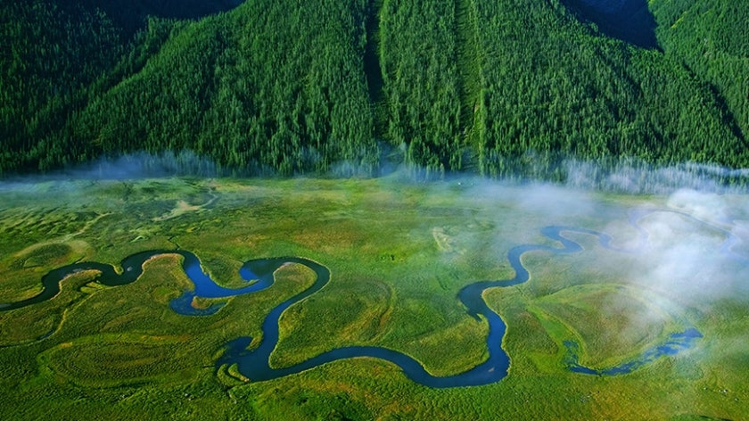 The Altai Project is harmonising development projects by strengthening the province’s legal and institutional capacity for enhanced protection of wetland ecosystems, through protected area planning and management. Photo: UNDP China.