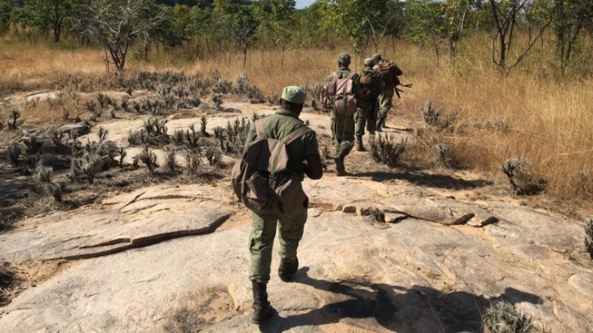 Park rangers in Mozambique marching
