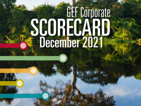 Cover image for publication "GEF-7 Corporate Scorecard December 2021"