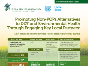 Cover image for publication "Good Practice Brief: Promoting Non-POPs Alternatives to DDT and Environmental Health Through Engaging Key Local Partners"