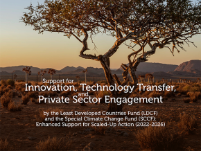 Cover image for publication "Support for Innovation, Technology Transfer, and Private Sector Engagement"