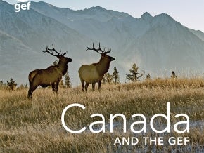 Cover image for "Canada and the GEF" publication